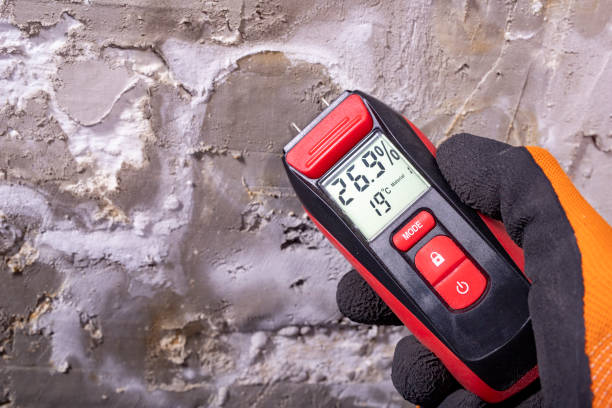 Best Mold Removal and Inspection  in Hooper, NE